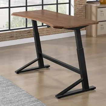 Teagan 60-inch Adjustable Height Desk for $249.99